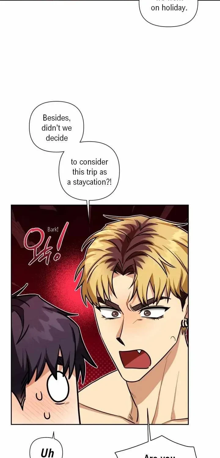Chapter 2.1, page 47