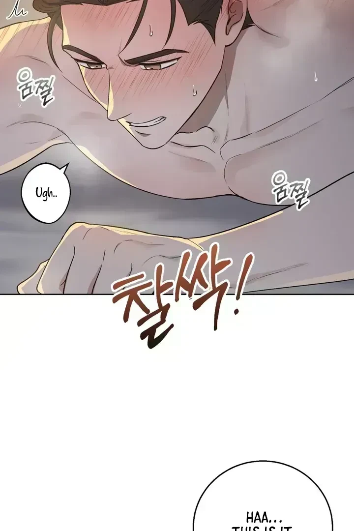 Chapter 4.8, page 79