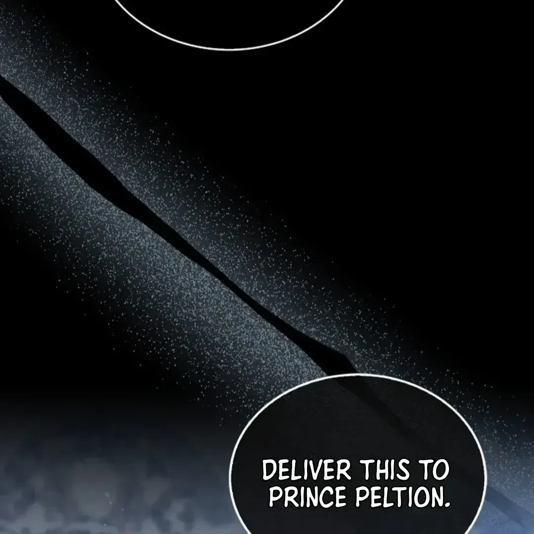 Chapter 1.1, page 102
