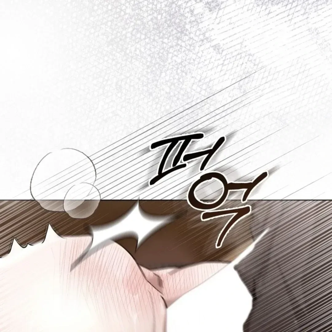 Chapter 1.1, page 13