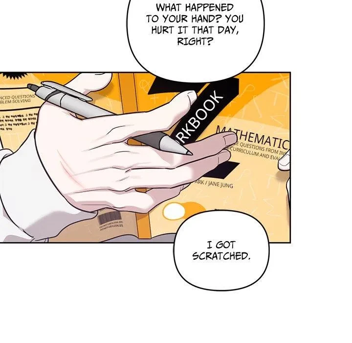 Chapter 3, page 96
