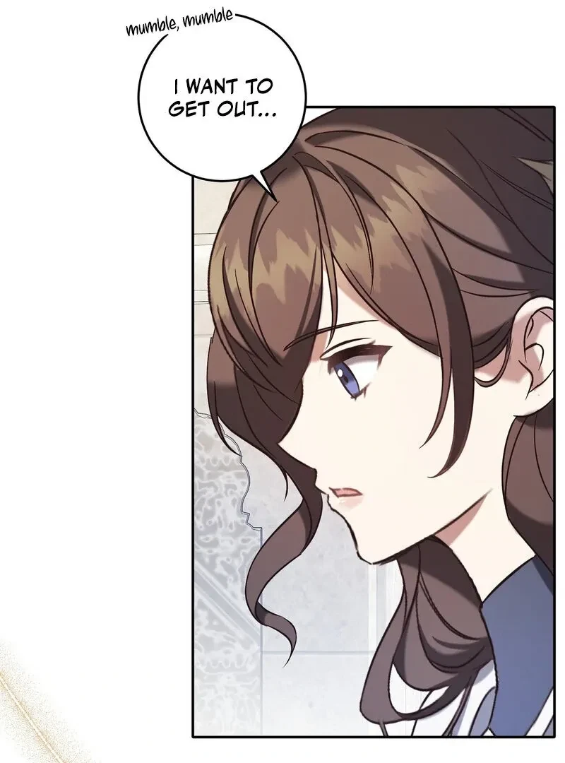Chapter 1, page 23
