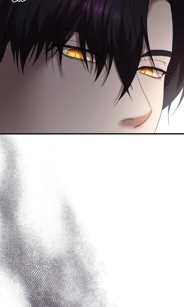 Chapter 2, page 111