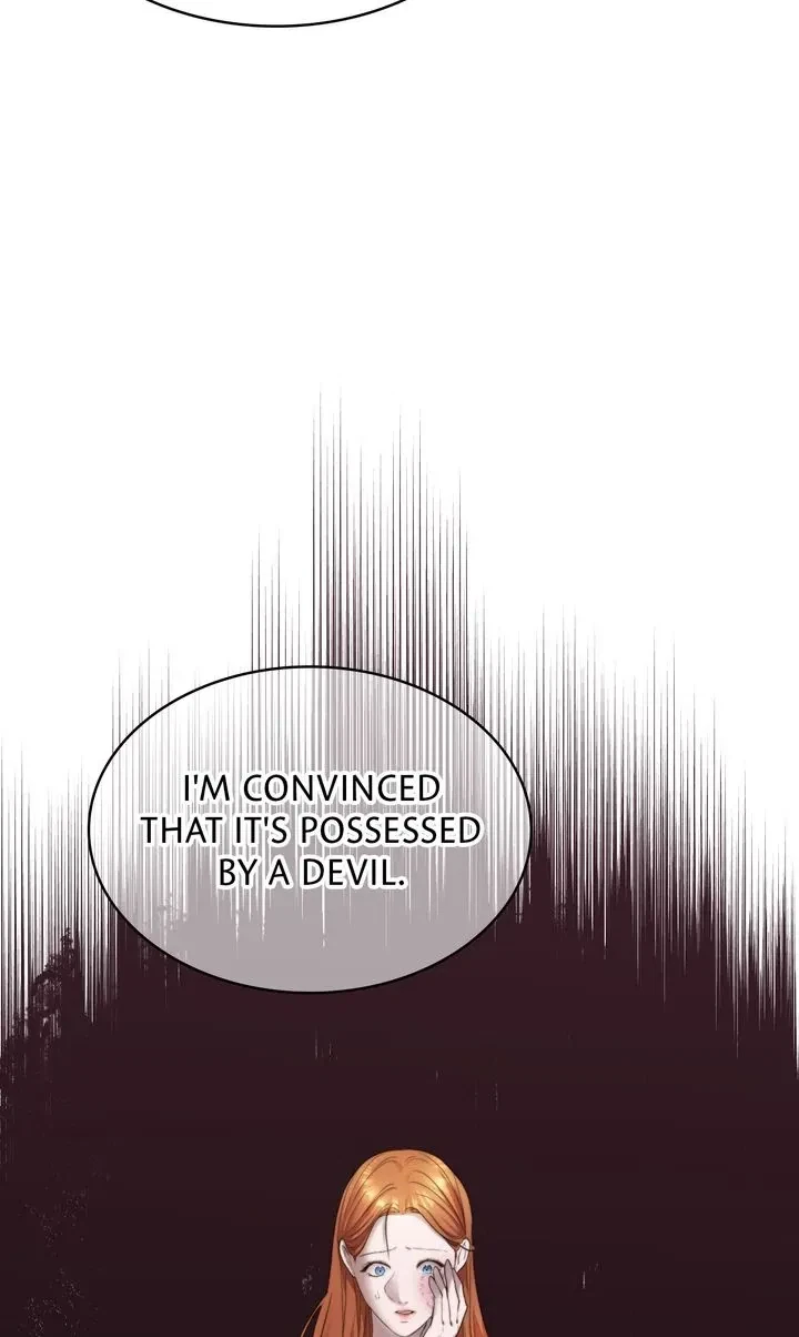 Chapter 2, page 26