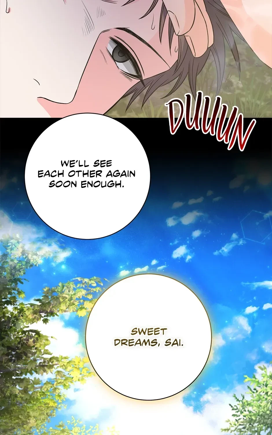 Chapter 13, page 101