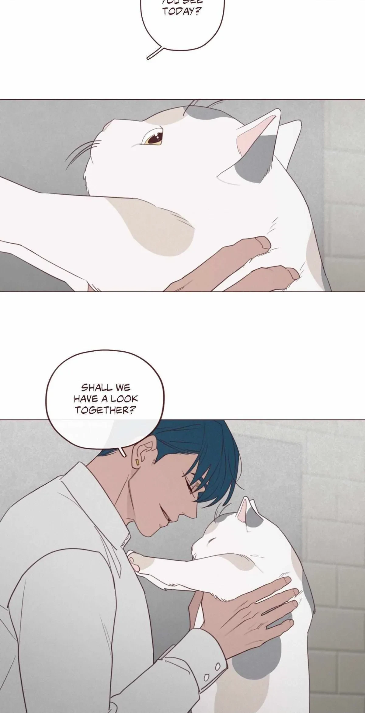 Chapter 112, page 17