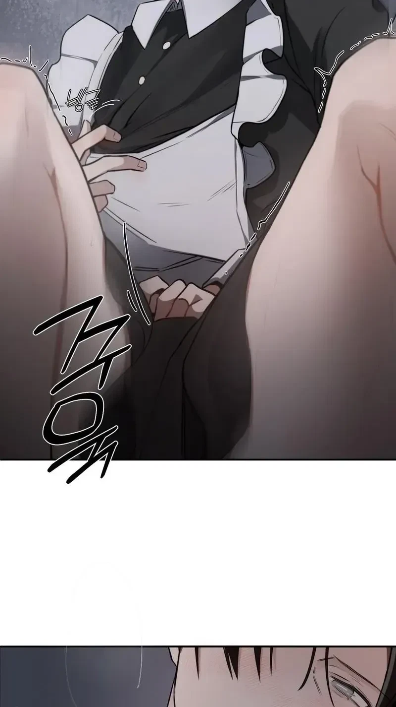 Chapter 1.1, page 48