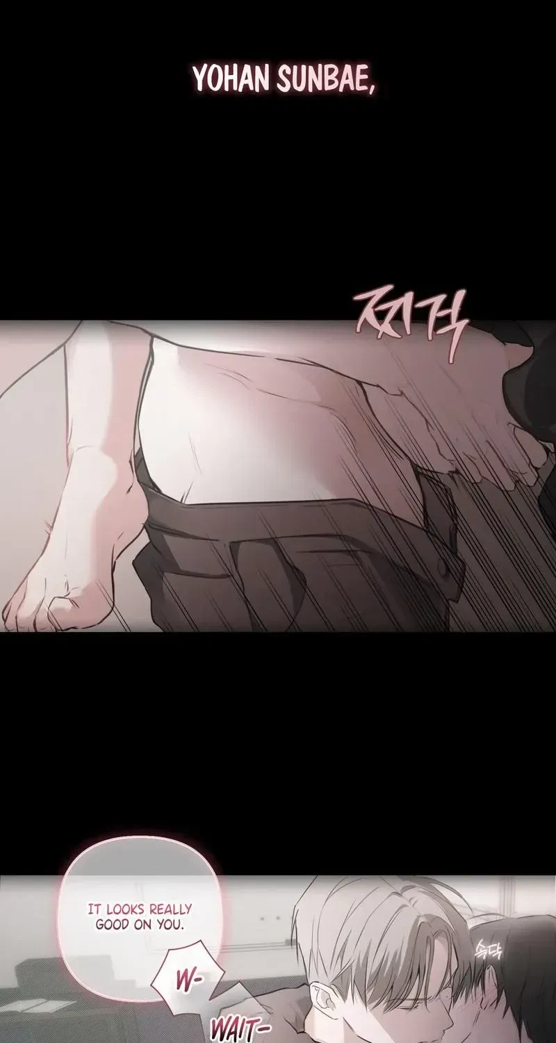 Chapter 1.1, page 52