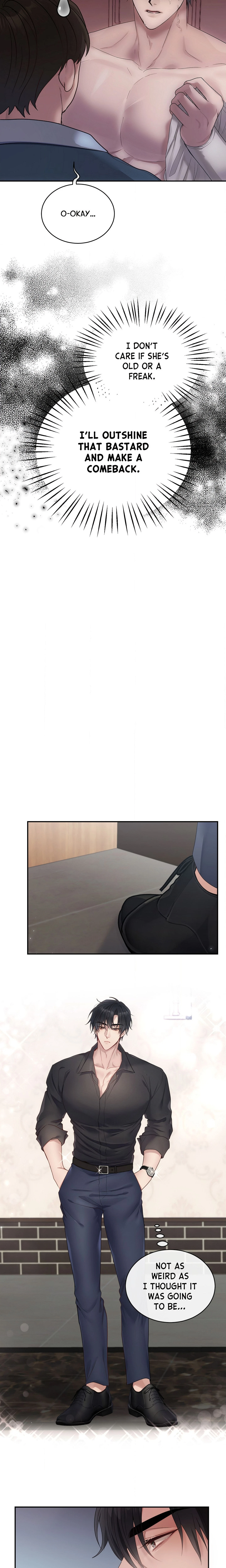 Chapter 1, page 17