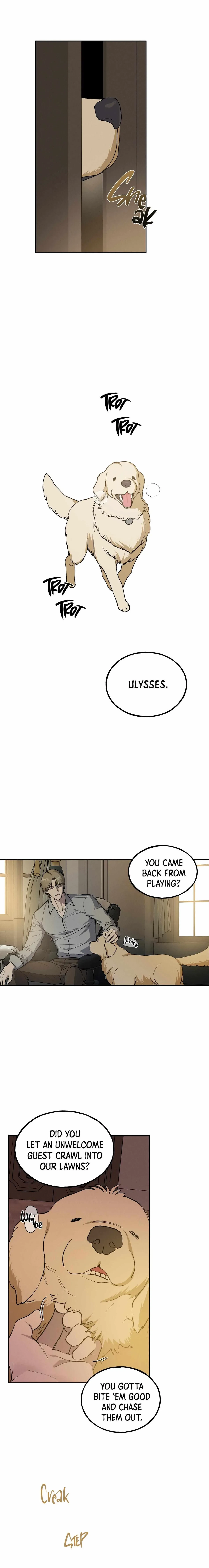 Chapter 1, page 11