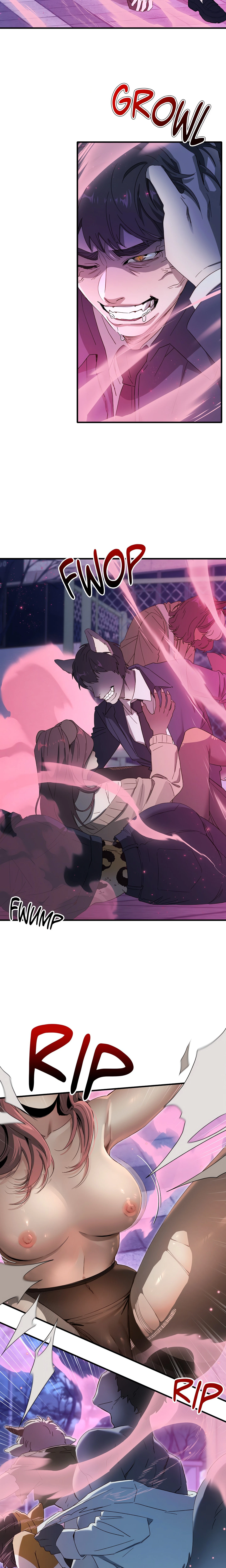 Chapter 1, page 13