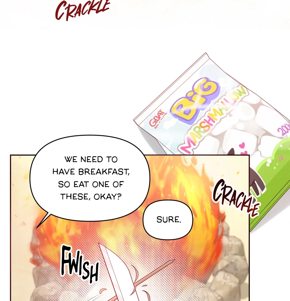 Chapter 2, page 15