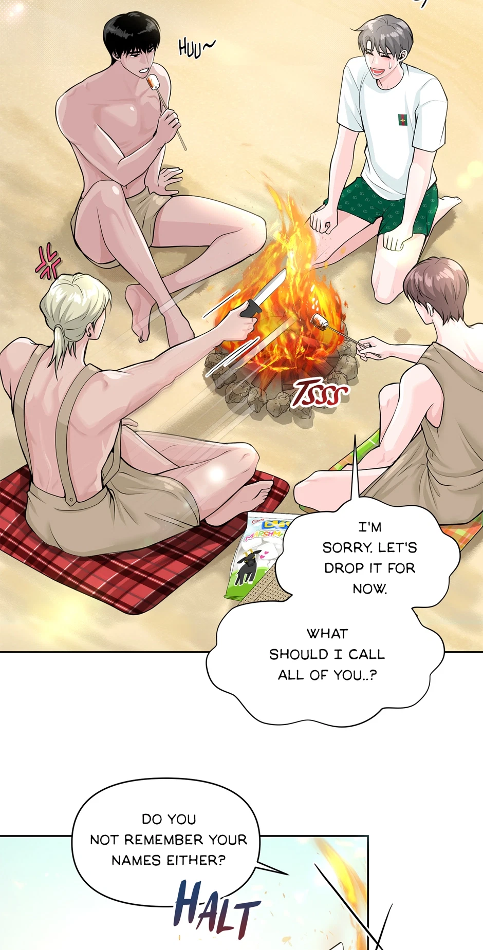 Chapter 2, page 19