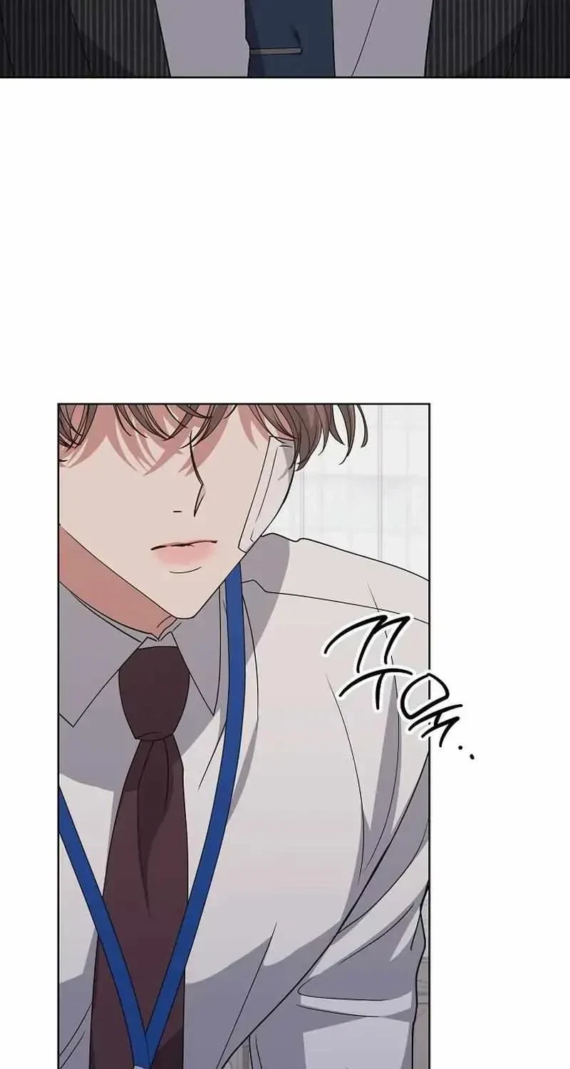 Chapter 3.1, page 65