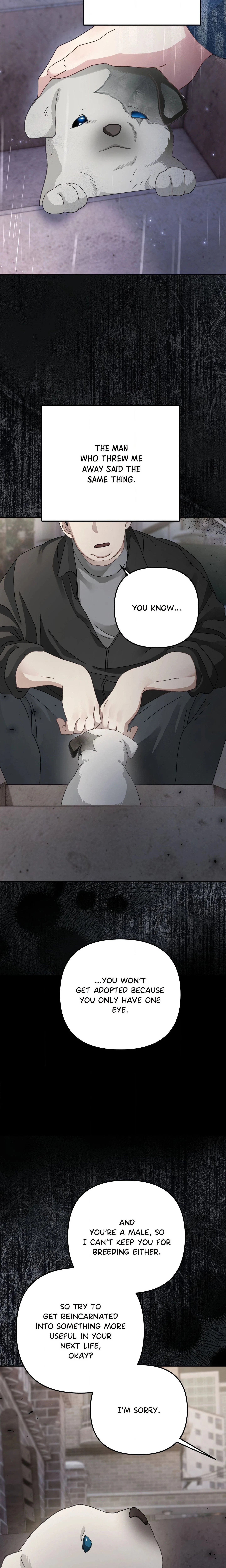 Chapter 37, page 7