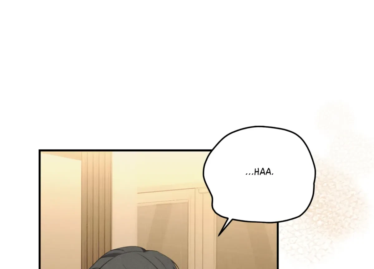 Chapter 1, page 17