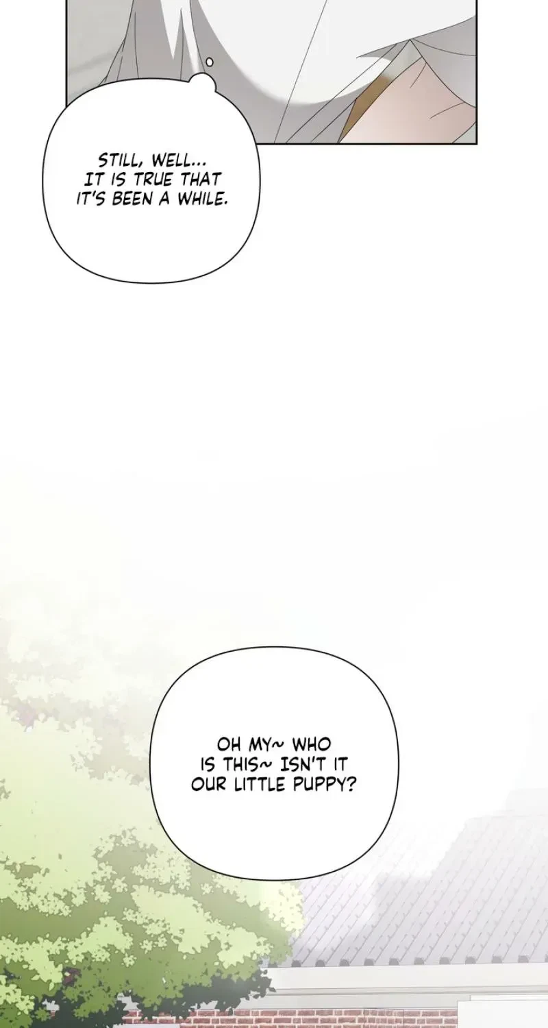Chapter 3, page 19