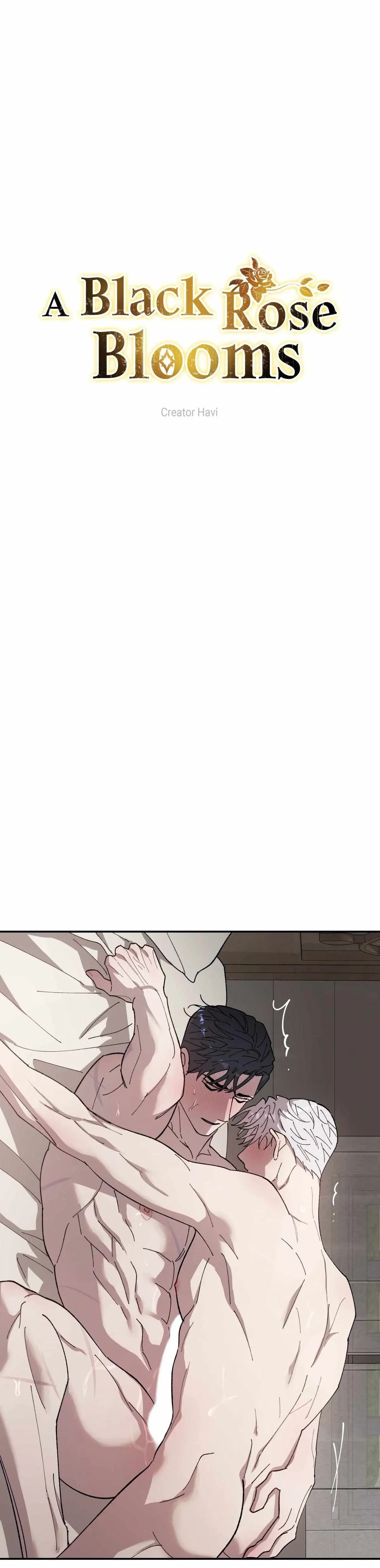 A Black Rose Blooms Chapter 99, page 3