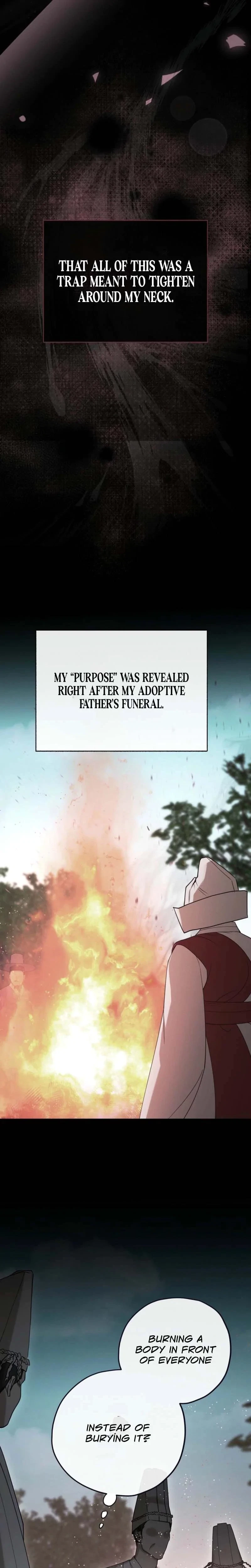 Chapter 3, page 15