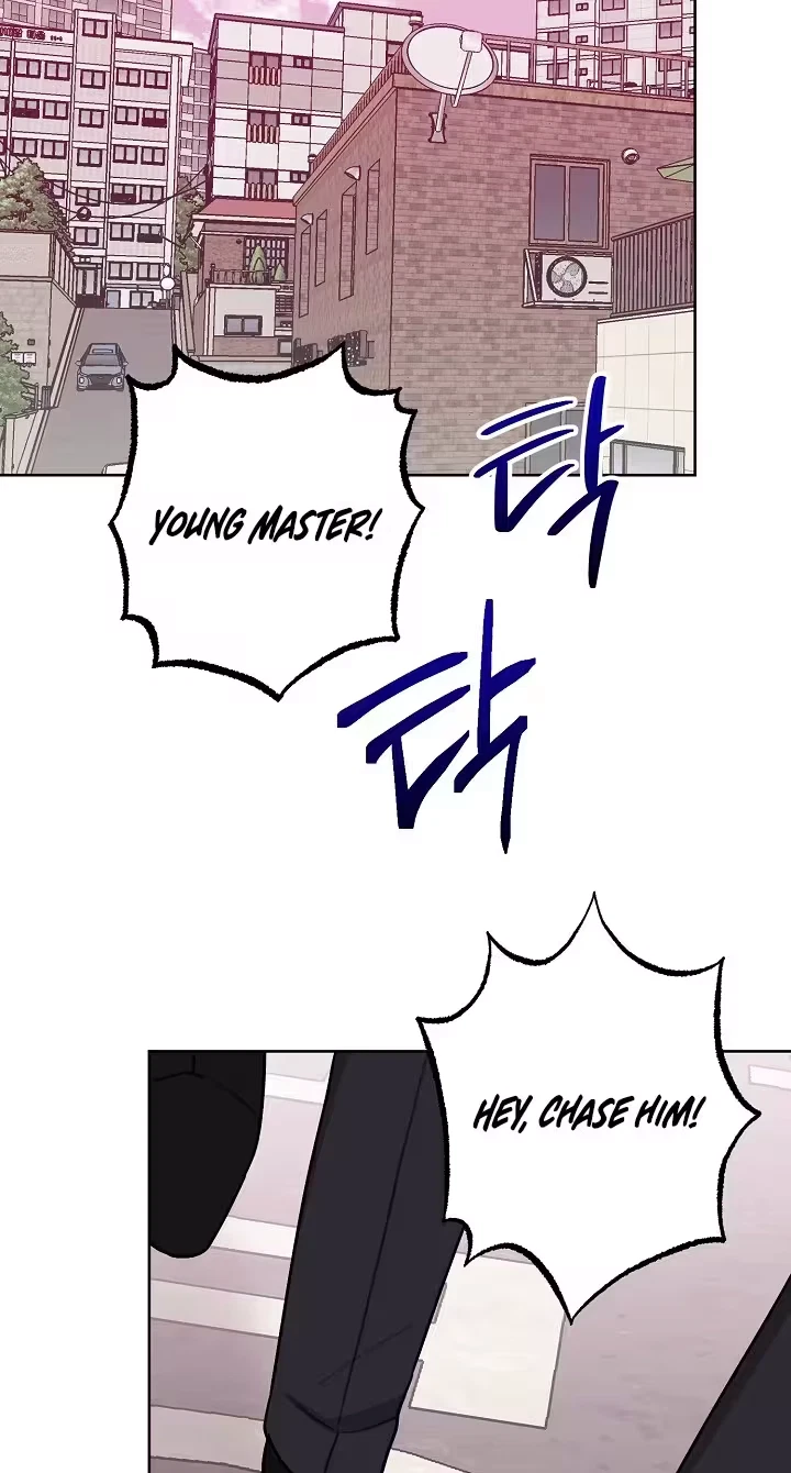 Pet User Manual Chapter 15, page 12