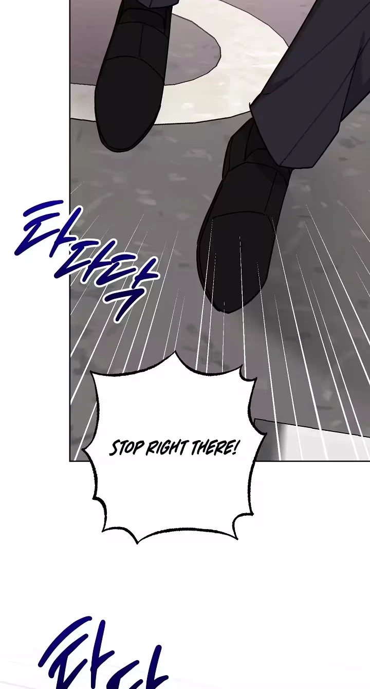 Pet User Manual Chapter 15, page 13