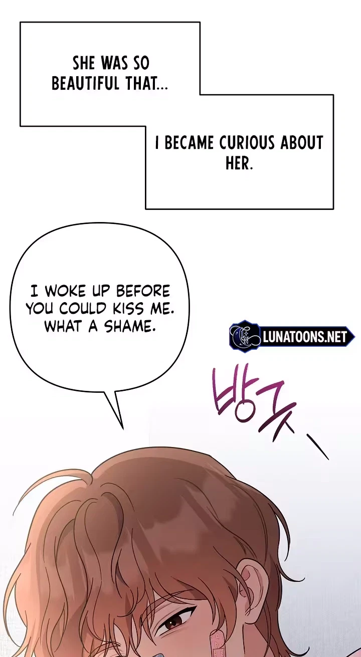 Pet User Manual Chapter 15, page 25