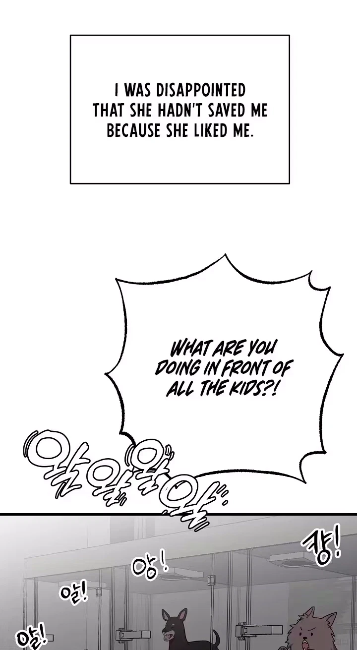 Pet User Manual Chapter 15, page 29