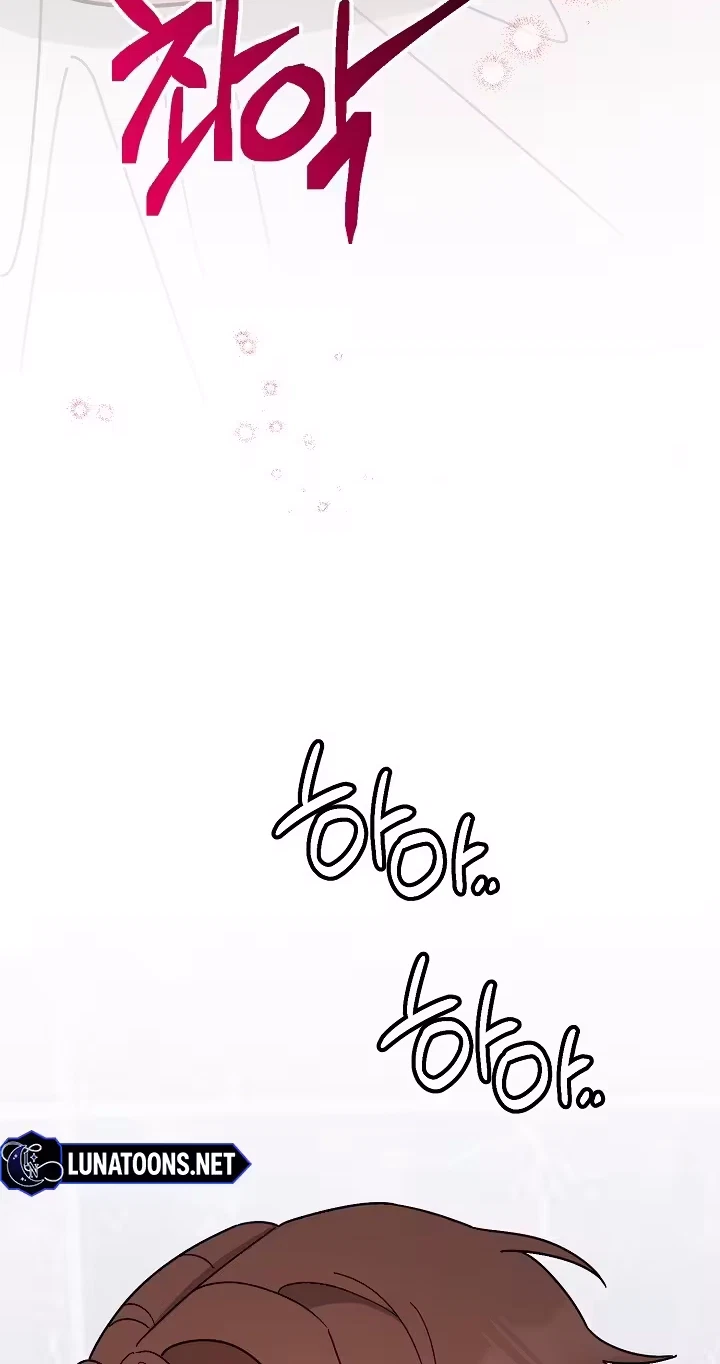 Pet User Manual Chapter 15, page 52