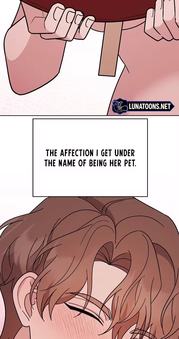 Pet User Manual Chapter 15, page 58