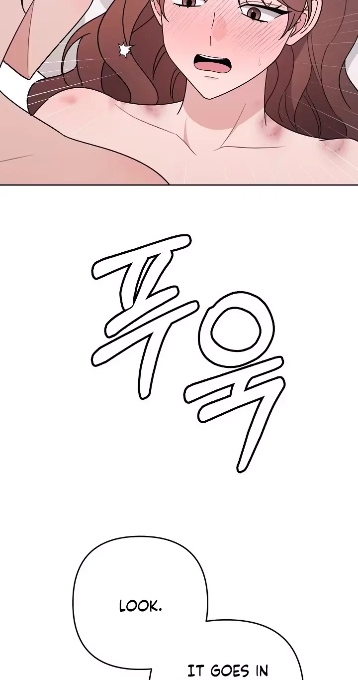 Pet User Manual Chapter 15, page 98