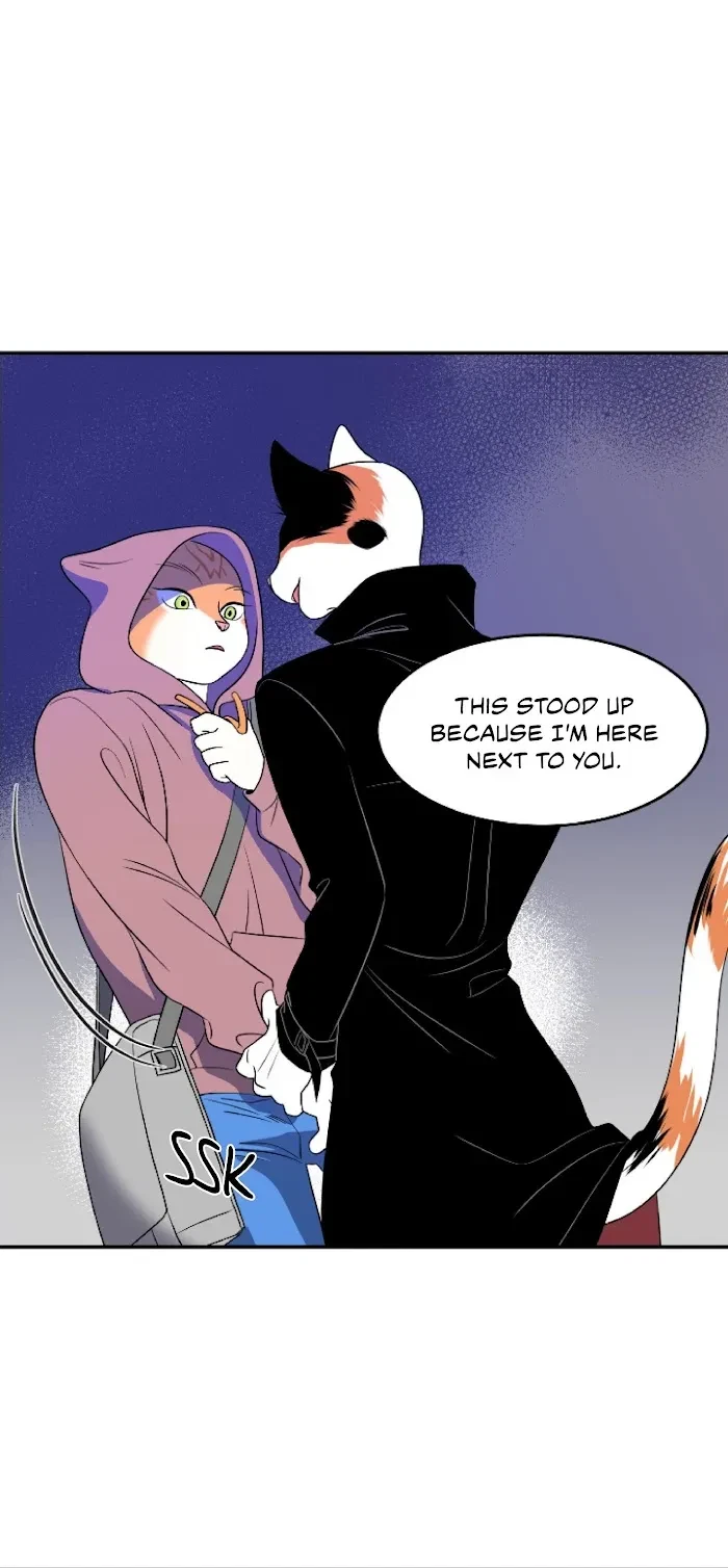 Chapter 1, page 14