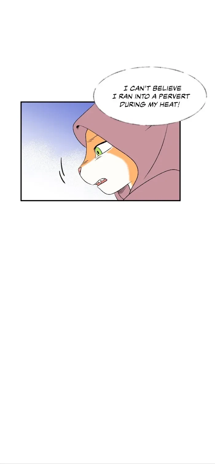 Chapter 1, page 19