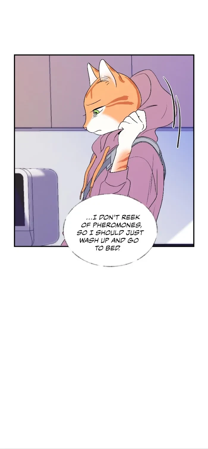 Chapter 1, page 21