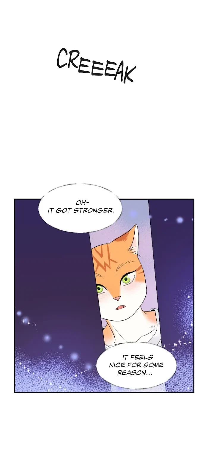 Chapter 1, page 26