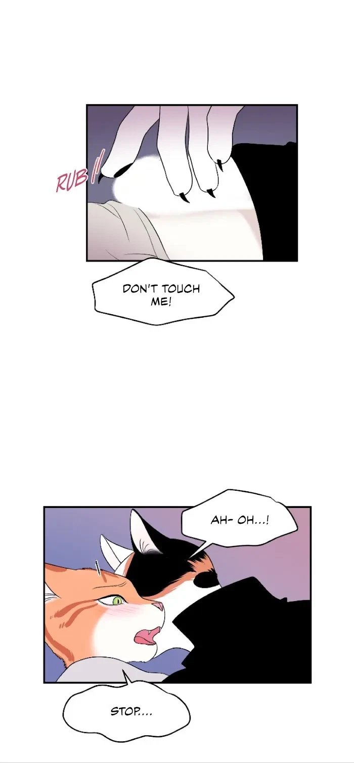 Chapter 1, page 35
