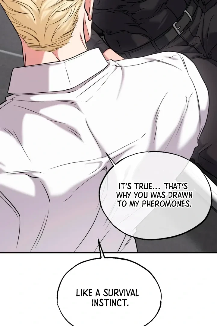 Chapter 4, page 39