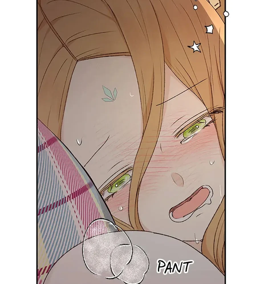 Chapter 5.1, page 34