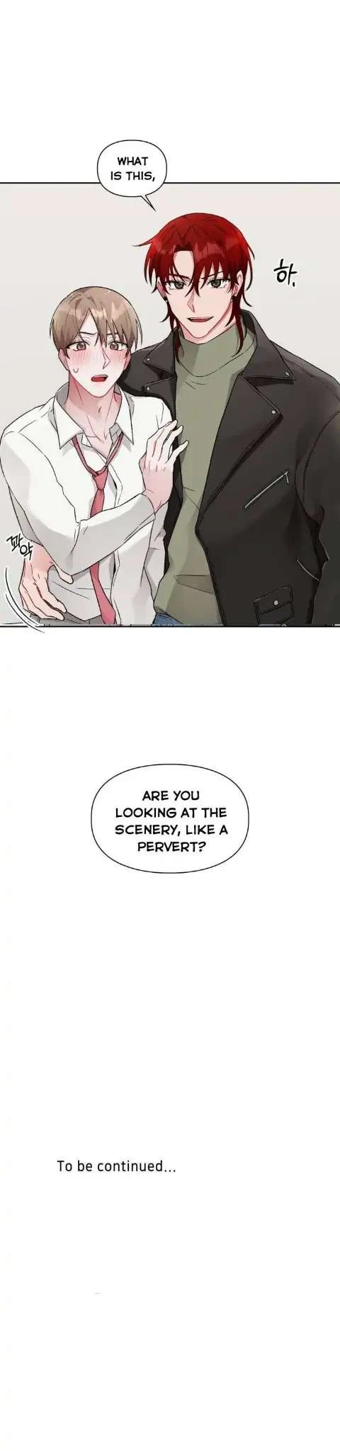 Chapter 2, page 27