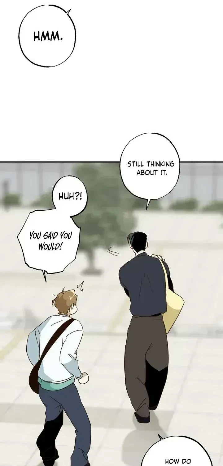 Chapter 2.4, page 5