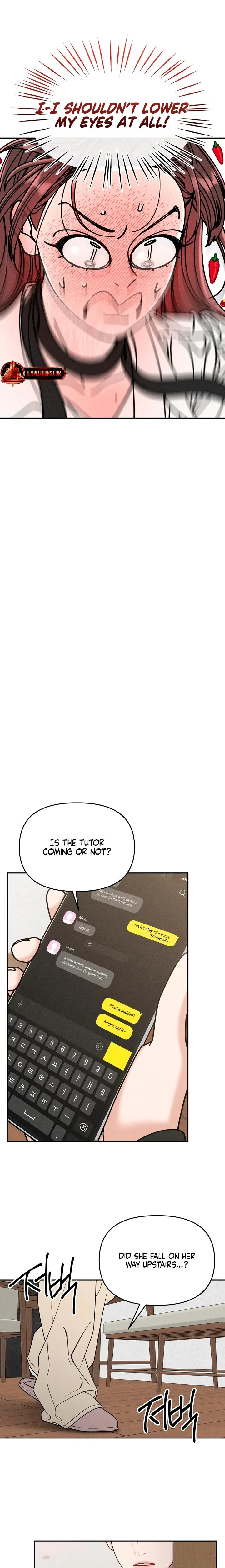 Chapter 1, page 29