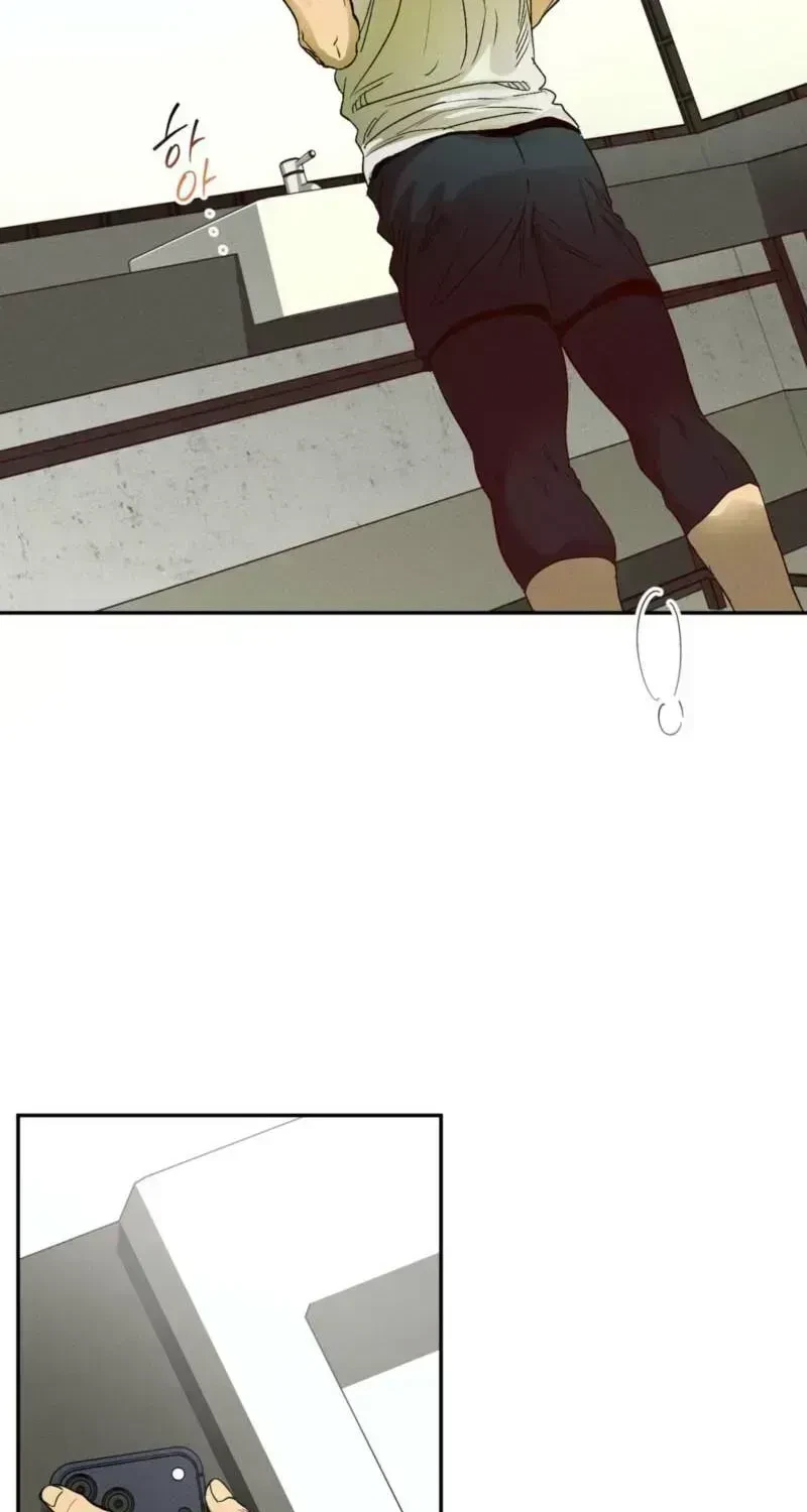 Chapter 2.6, page 49