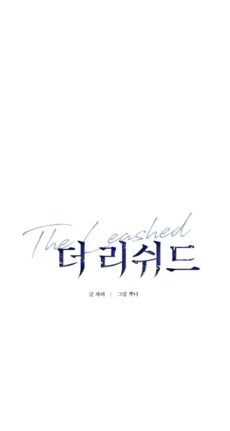 Chapter 1.1, page 23