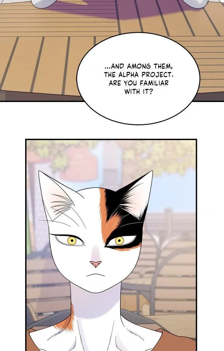 Chapter 104, page 58