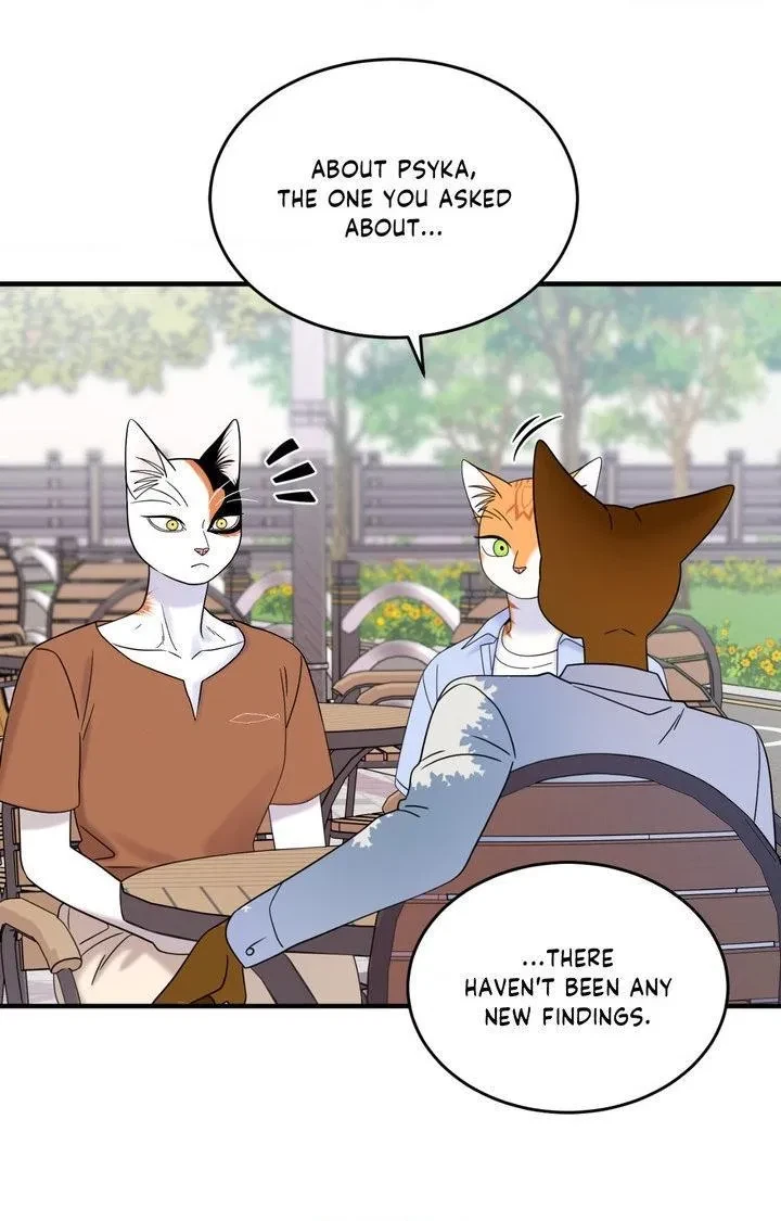 Chapter 104, page 64