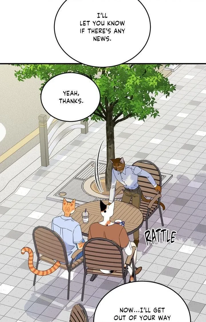 Chapter 104, page 66