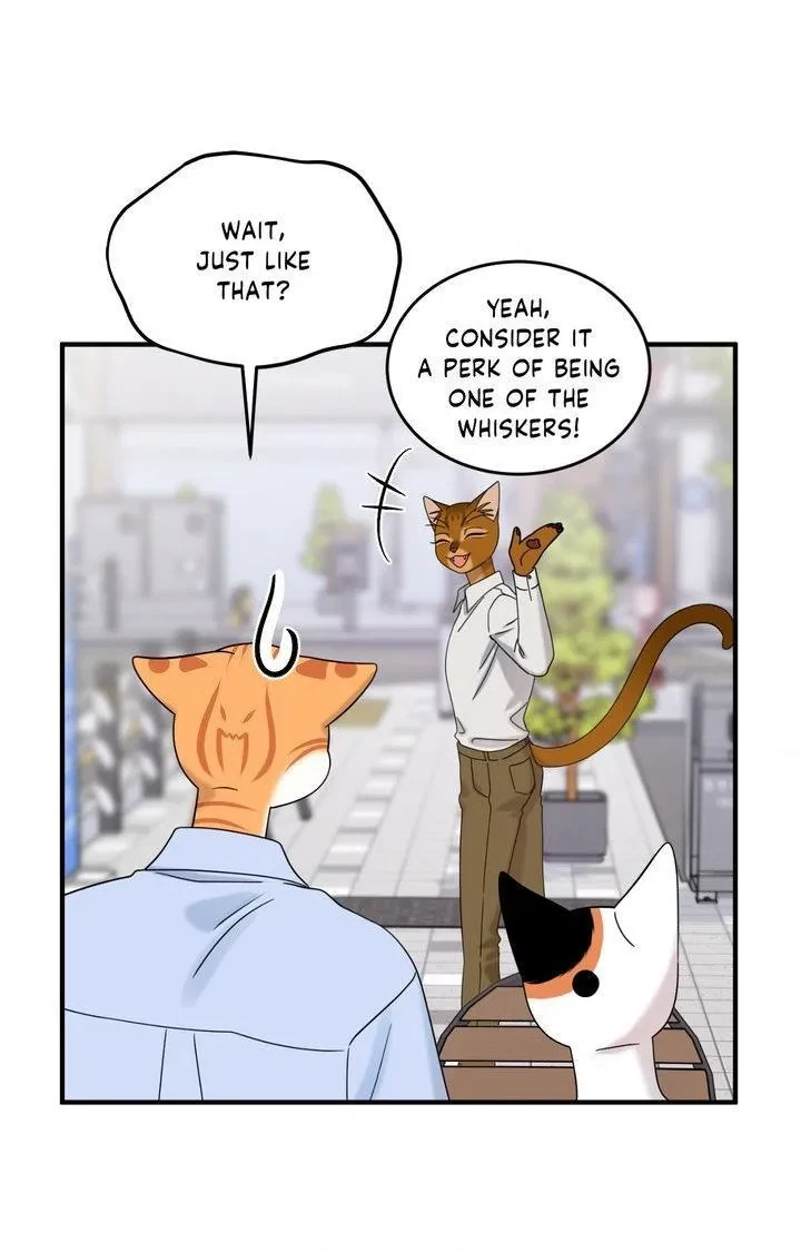 Chapter 104, page 71