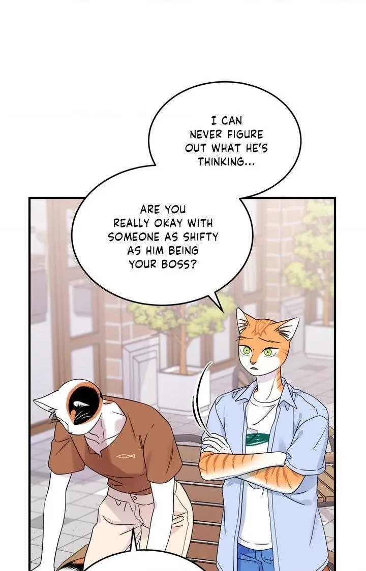 Chapter 104, page 72