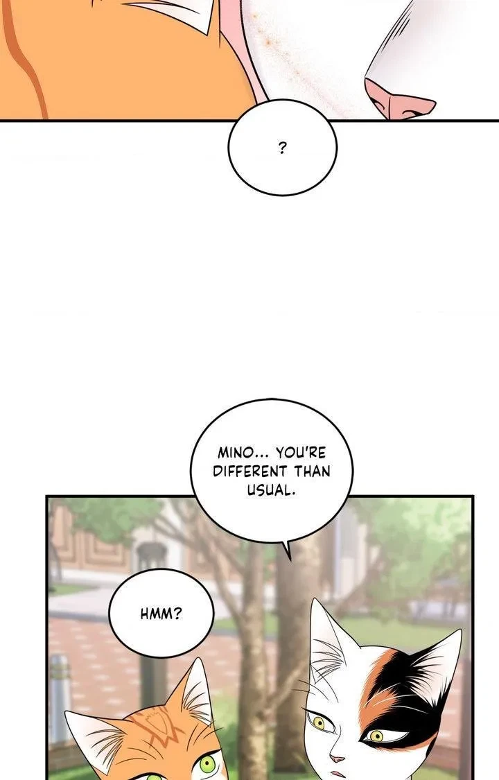 Chapter 104, page 82