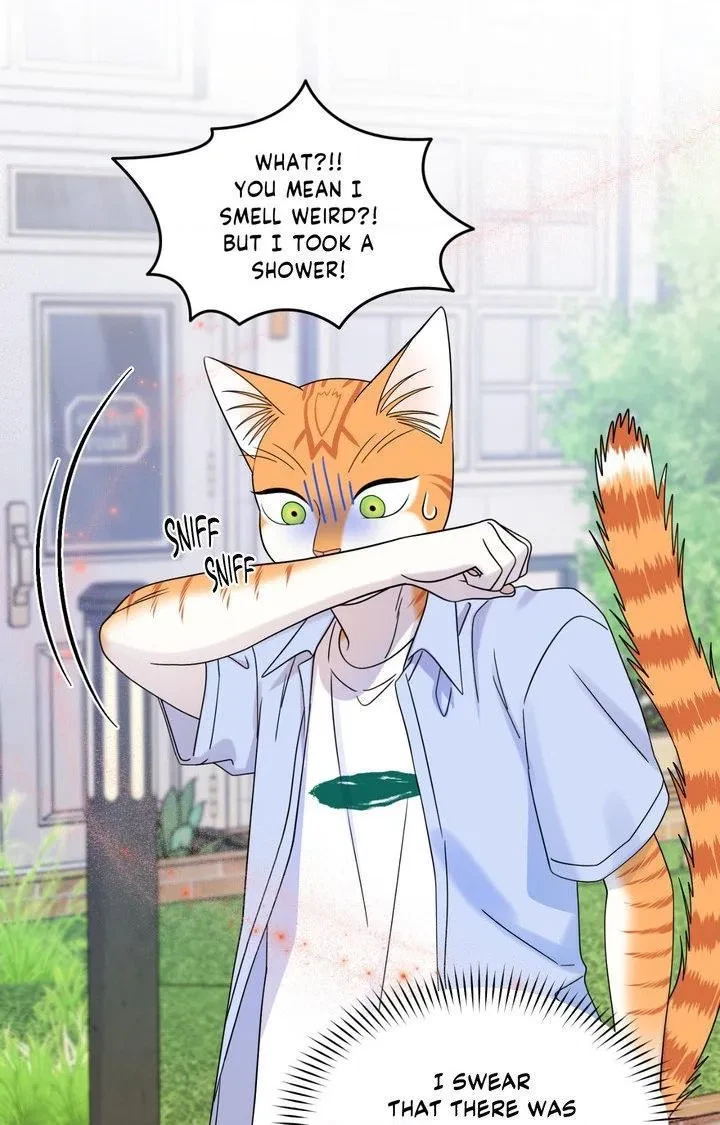 Chapter 104, page 84