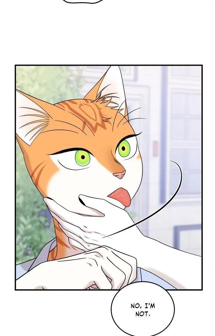 Chapter 104, page 86